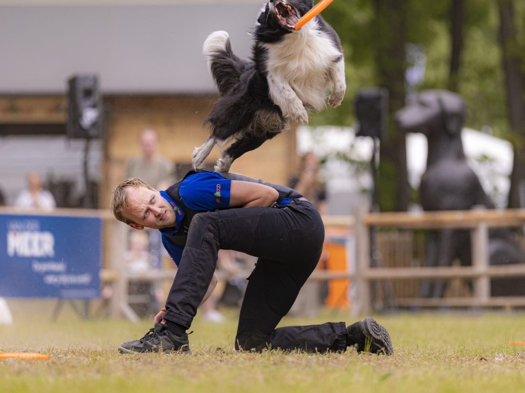 FarmFoodPiste-Frisbeedog-_V240731