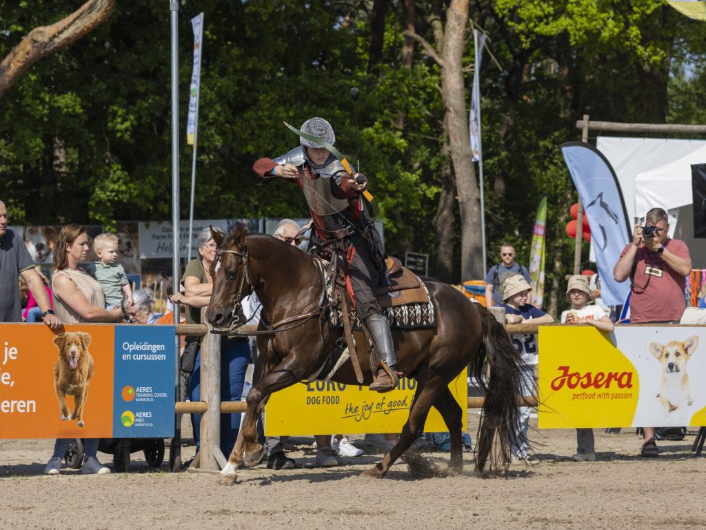 Paardenpiste-RidderTePaard-RVR36239