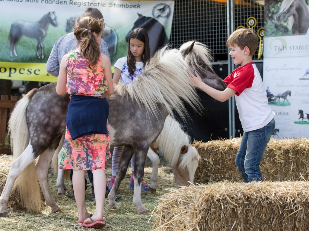 2016 Animal Event